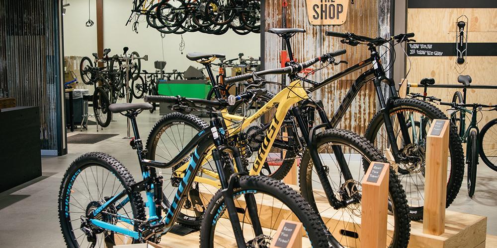 rei rent mountain bike