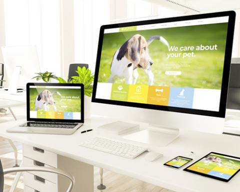 graphical user interface, website