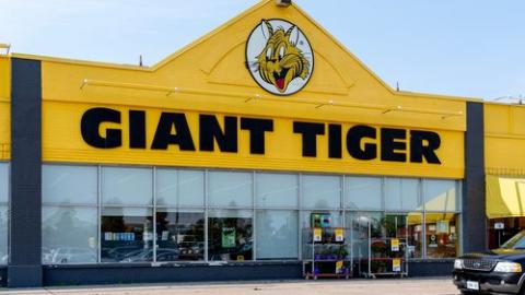 gian tiger