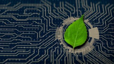 Automating Sustainable Business Practices: The Power of IoT | RIS News