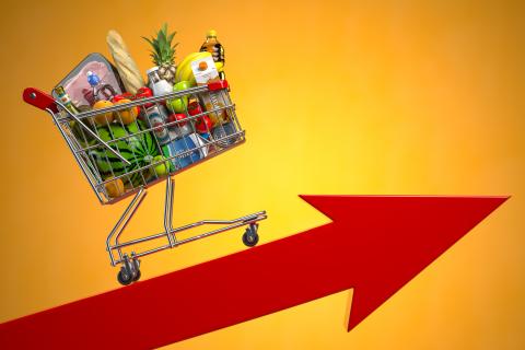 Grocery retailers leading despite inflation