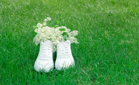 Sustainable sneakers