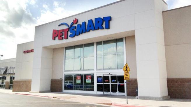 Petsmart and best sale chewy merger